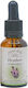 Crystal Herbs Ρείκι (heather) Blütenessenzen 25ml 1Stück