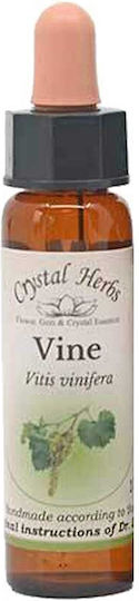 Crystal Herbs Лоза (vine) Антоесенция 10мл 1бр