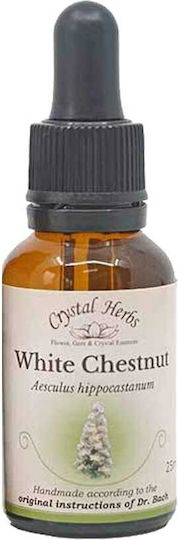 Crystal Herbs Castan alb (white Chestnut) Esență Florală 25ml 1buc