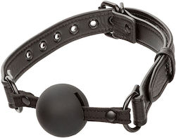 Calexotics Knebel in Schwarz Farbe