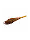 Getrocknete Pflanze Orange 40cm Selected by Pragmatic