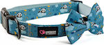 Loveboom Cat Collar