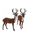 Koopman Christmas Plush Figure Deer Height 37cm (Μiscellaneous Designs)