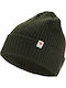Beanie Unisex Beanie with Rib Knit in Green color