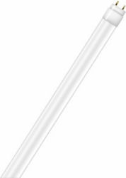 Cyfelco Λάμπα Φθορίου για Ντουί G13 22W