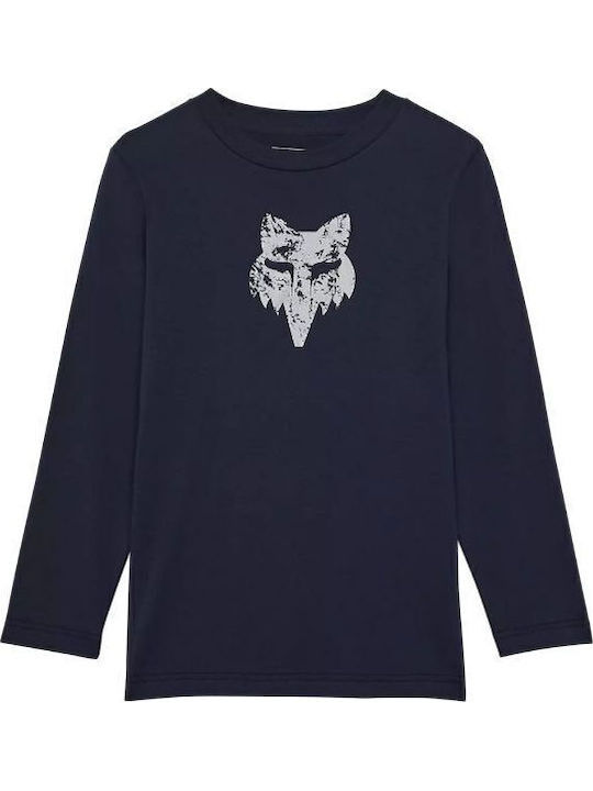 Fox Fox