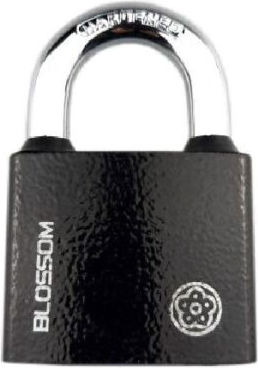 Blossom Steel Padlock Brass with Key 50mm 1pcs