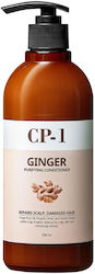CP-1 Balsam 500ml CP-1 Balsam 500ml