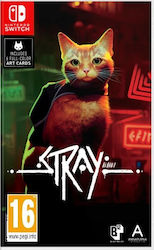 Stray