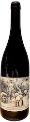 Abraam's Vineyards Λευκό Ξηρό 750ml Abraam's Vineyards Λευκό Ξηρό 750ml