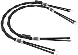 Esprit Lumina Speaker Cable 4m