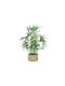 Artificial Plant in Pot Green 46cm Atmosphera
