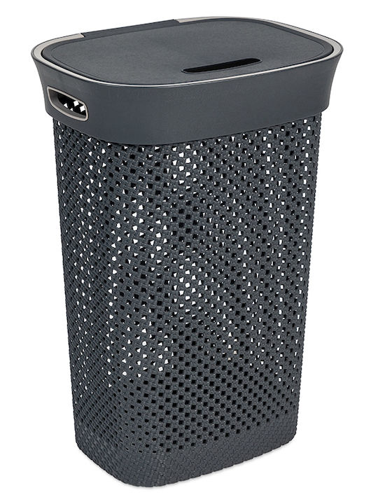 DEA home Plastic Laundry Basket 60lt with Cap 42x33x61cm Gray