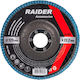 Raider Δίσκος Λείανσης 125mm