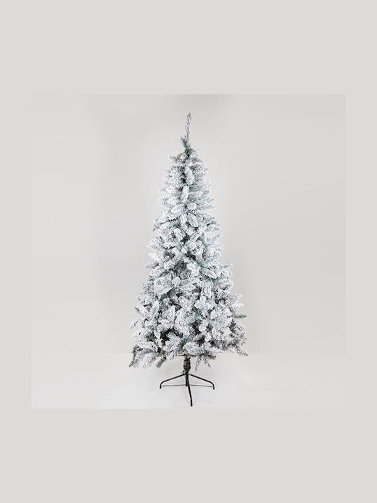 Weihnachtsbaum Schottland Beschneit 210cm mit 7...