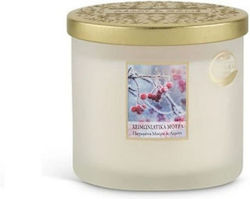 Ароматна соева свещ "Зимни плодове" с два фитила 220g C01000425 Heart Home