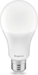 Braytron LED E27
