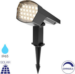 Braytron Aufgespießt Solarlampe 12W
