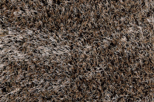 Ns Carpets Prisma Shaggy Maro Covoare Tăiat La Dimensiune