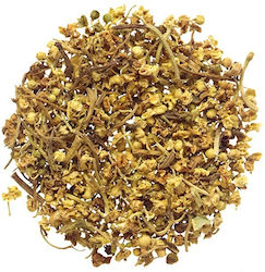 Elderberry Flower of America 500 Gr