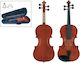 Genius Pack 4/4 Vioară