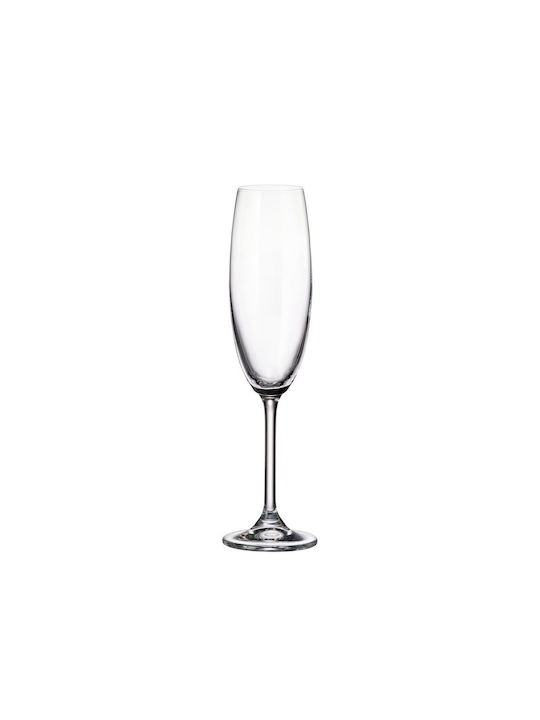 Bohemia Colibri Set of Glasses Champagne / White Wine made of Crystal Stemmed 220ml 6pcs