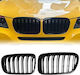 Prasco 242552 Mask Hearts BMW BMW X3 F25 2010-2014 Double Grille Glossy Black 7 Grilles 2 Pieces
