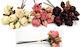 Decorative Element for Wedding Favors Ecru 10pcs