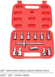 Uruisi Star Uruisi Star Sockets Uruisi Star Uruisi Star Sockets