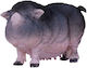 Animal Planet Porc Vietnamez Pentru Vârsta De Peste 3 Ani
