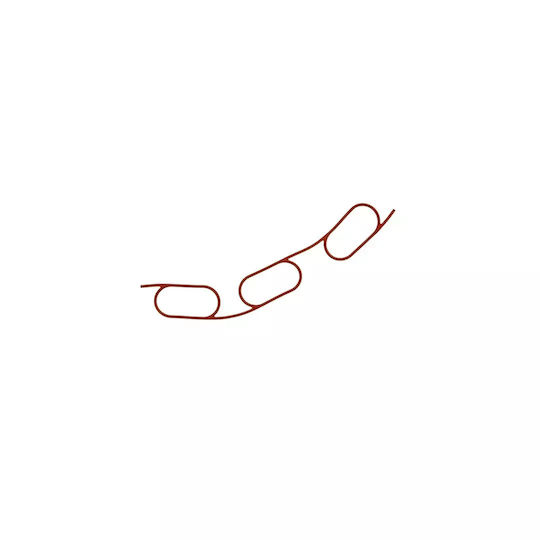 Set garnituri galerie admisie BMW 3 Touring E36 320 I 1995-1999 Corteco 450569h