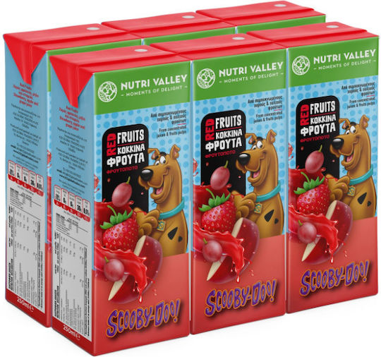 Nutri Valley Healthy Foods 250ml 6Stück 5200132754603