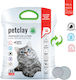 Petclay Bentonite Cat Litter 20lt