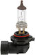 H10 12V 42W Narva Scheinwerferlampe