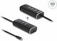 DeLock Port Hub 10 Θυρών USB 2.0 με σύνδεση USB-C