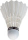 Victor Queen Speed 77 Feathers Badminton 12Stück