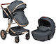 Moni Polly Adjustable 2 in 1 Baby Stroller Suitable for Newborn Gray