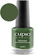 Cupio Glossy Nagellack Einfacher Schnelltrocknender Oxford 15ml