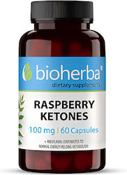 Bioherba 100мг 60 Капсули