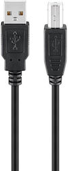 4017538105723 Cabluri USB USB 2.0 USB-A Masculin la USB-B Masculin 3m 4017538105723 Cabluri USB USB 2.0 USB-A Masculin la USB-B Masculin 3m
