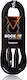 Bespeco Cablu XLR De Sex Masculin - XLR De Sex ...