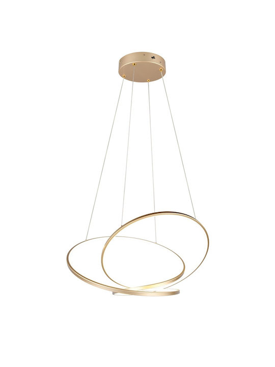 Trio Lighting Pendant Light Gold