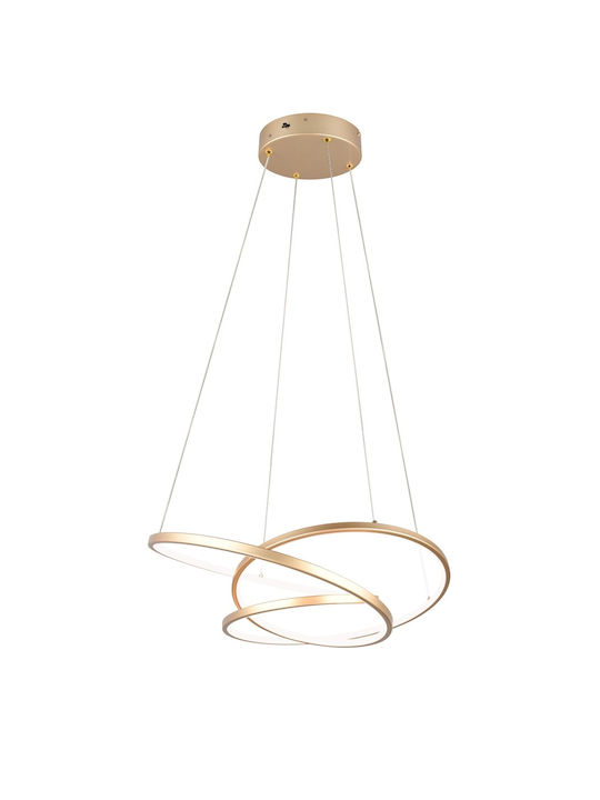 Trio Lighting Pendant Light Gold