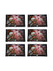 Macaron Time Plate Support Set Serving Meals 6 Pieces