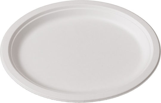 Ready Disposable Plate