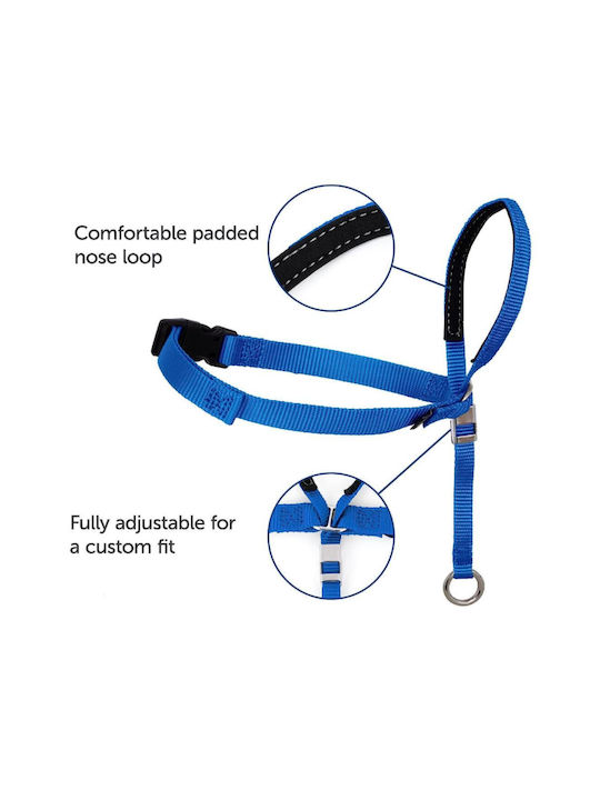 Animal Dog Collar in Black color