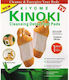Kiyome Kinoki Detox Patches 10pcs