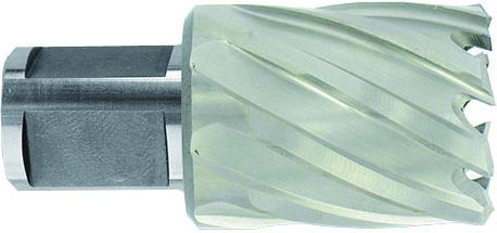 Burghiu de miez HSS Ø13x60x30 mm serie scurtă coadă Weldon Ø19 mm neacoperit lucios