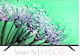 IQ Smart Τηλεόραση 43" Full HD LED LED-4304WB (2023)
