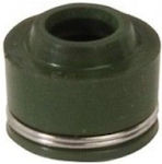 Centauro Valves Seal